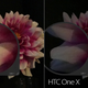 Image for article titled iPhone 5 Camera Battle: Is It the Best Smartphone Shooter?